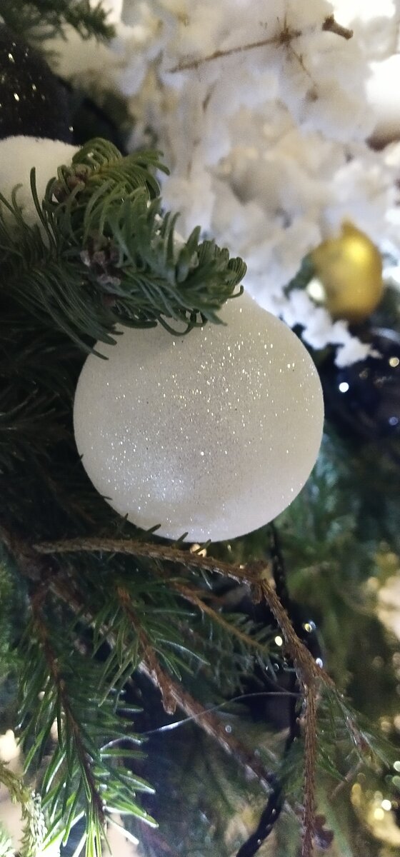 Личное фото