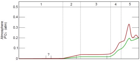 Накопление кислорода в атмосфере.