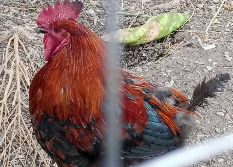 ИА SM.News Тюмень📷
