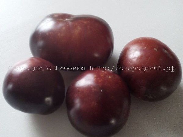   (Blueberry) 