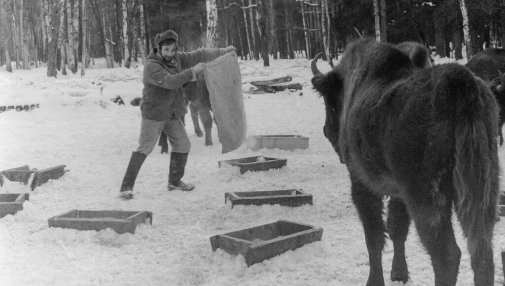    Фото: Александр Куличенко