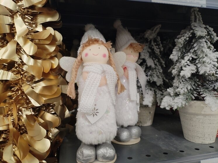     Фото: «МК в Великом Новгороде»