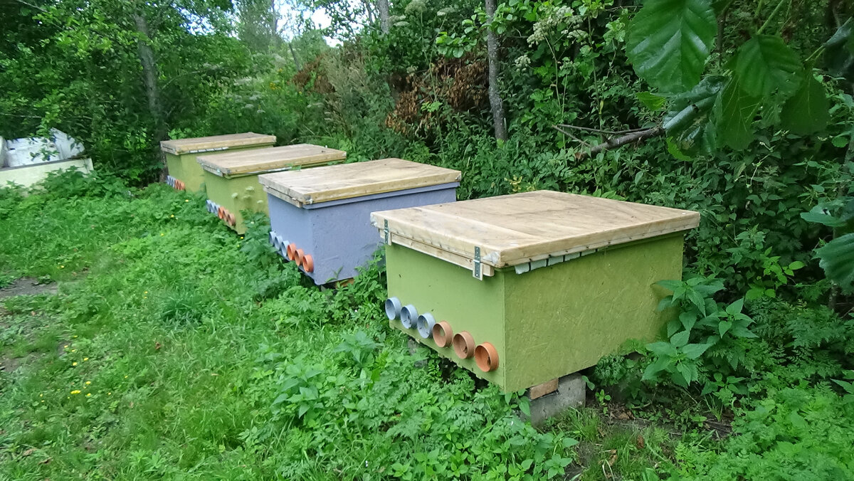 Ульи Куб, новое интересное направление ульев-лежаков Якимова.