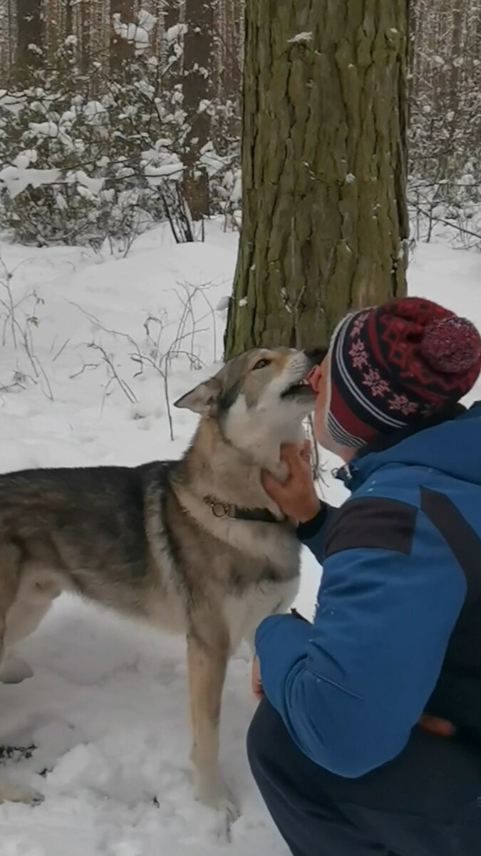 Не мешать, выстраивается внутрисемейная связь 