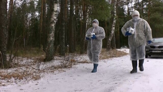    В Ивановской области начали раскладывать вакцину против бешенства