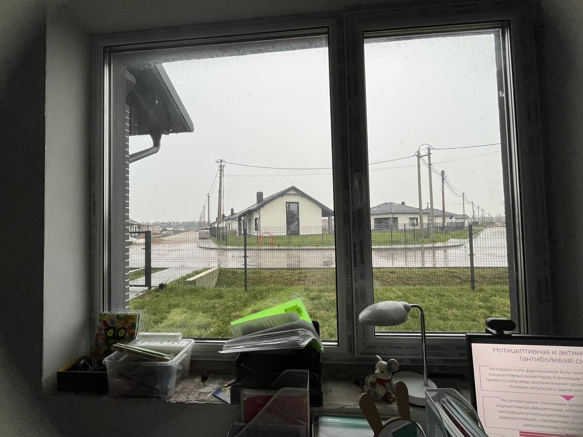 Вид из окна