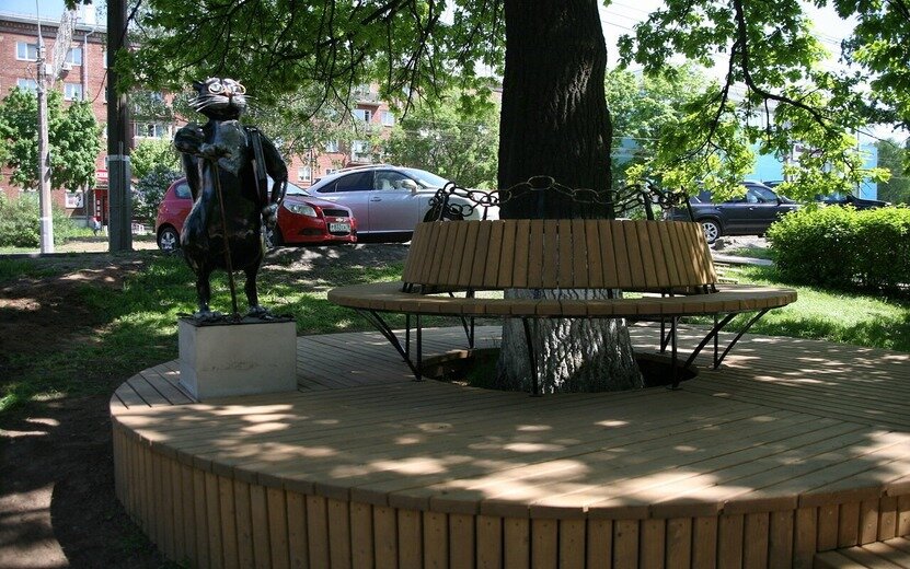  Кот ученый появился рядом с дубом в 2015 году. Фото: Сергей Грачев
