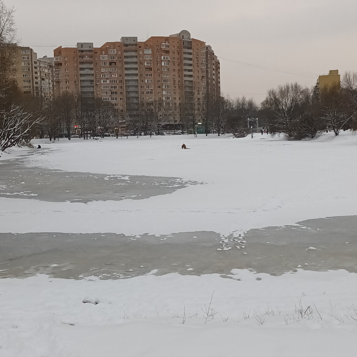 Лед на пруду.