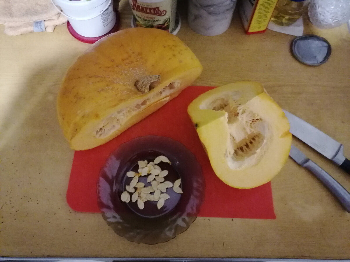 Ну че, погнали!