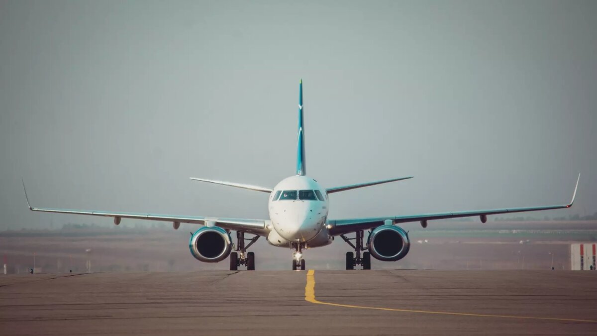     Пассажирам самолета, следовавшего из Петропавловска-Камчатского в Москву, пришлось изрядно понервничать. Авиалайнер попал в зону турбулентности, что вызвало сильную тряску. Панику на борту усилила стюардесса, которая требовала, чтобы пассажиры сели на пол.