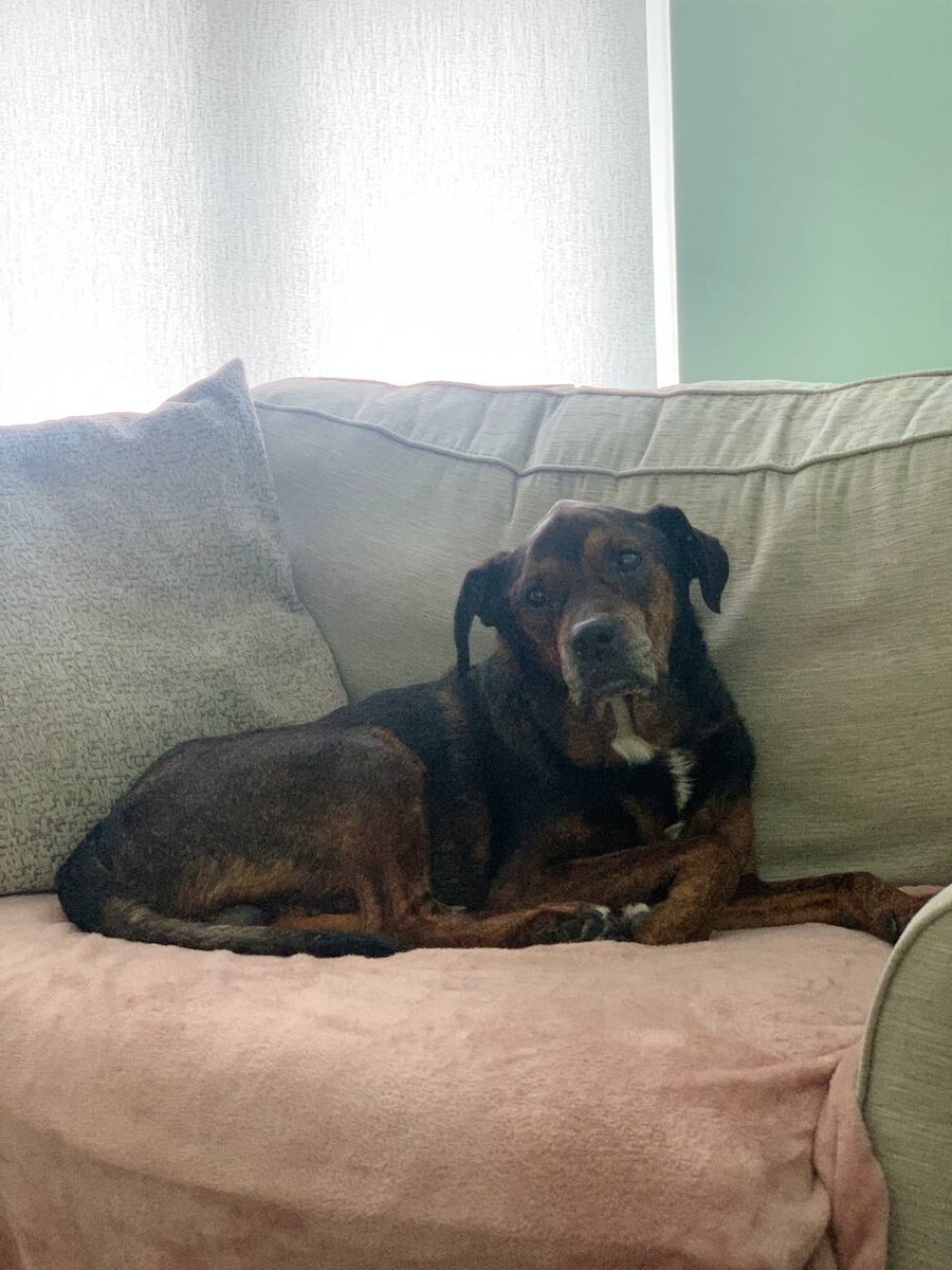 Тот самый Рокко