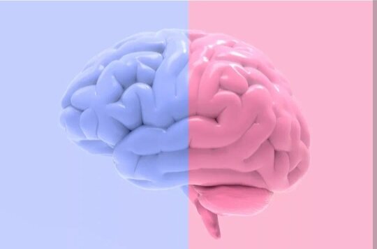 Изображения - интернет.