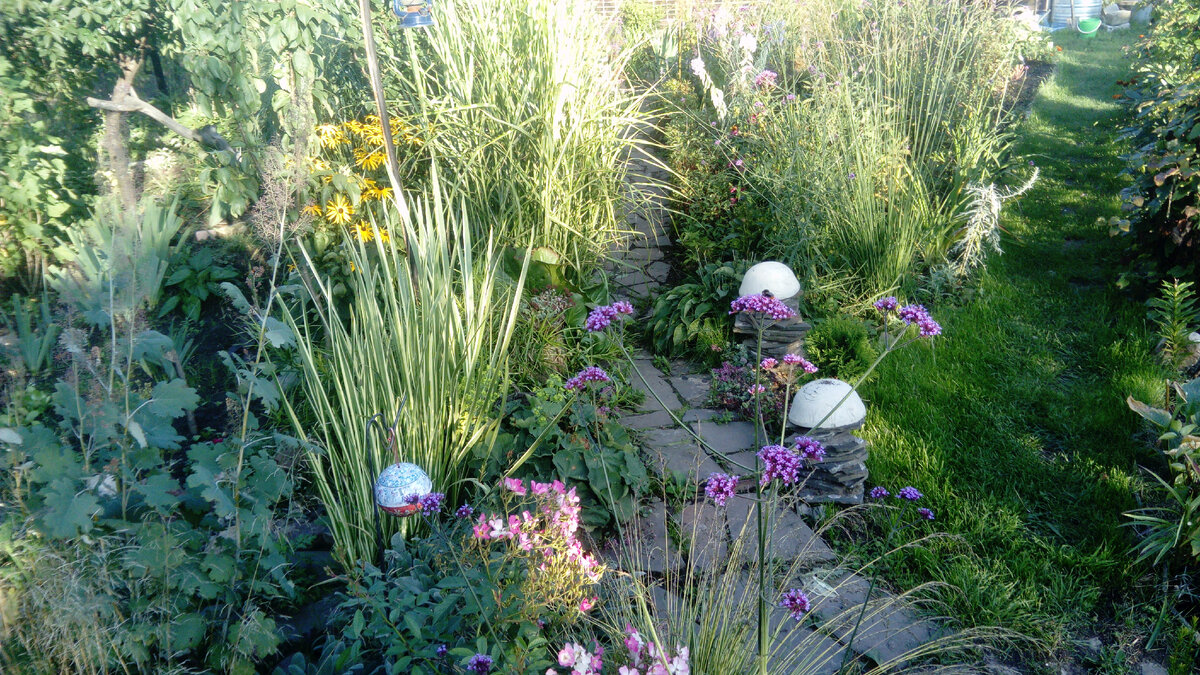 Кусочек природного цветника осенью 2017 года