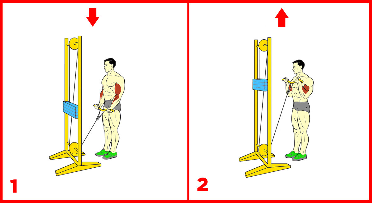 Как добиться внушительных бицепсов? Показываю необходимые упражнения ...