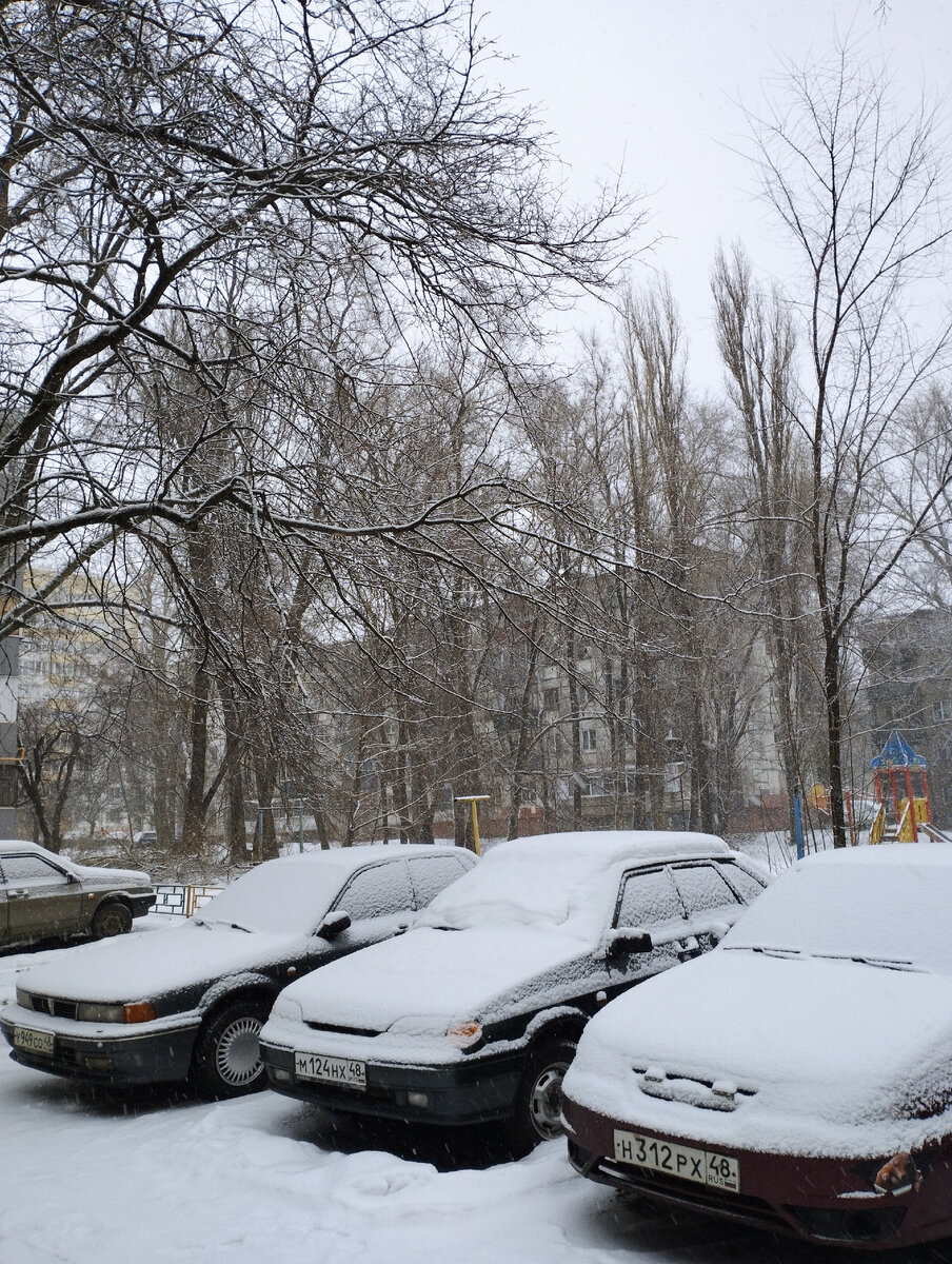 Утренний снимок. 