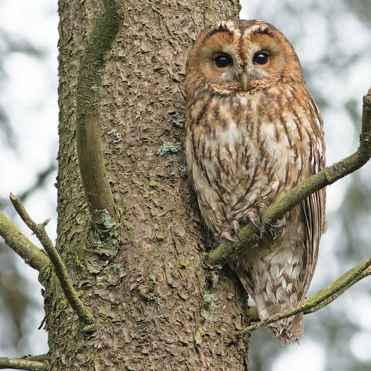 Фото из интернета