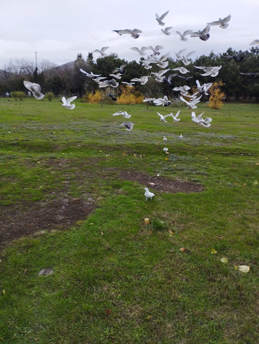 Сегодня. Фото автора канала