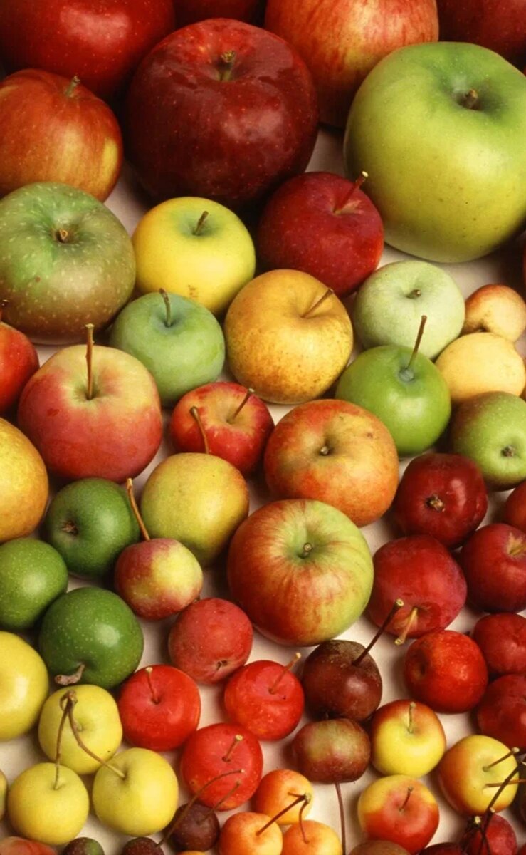 Фото взято из открытого источника