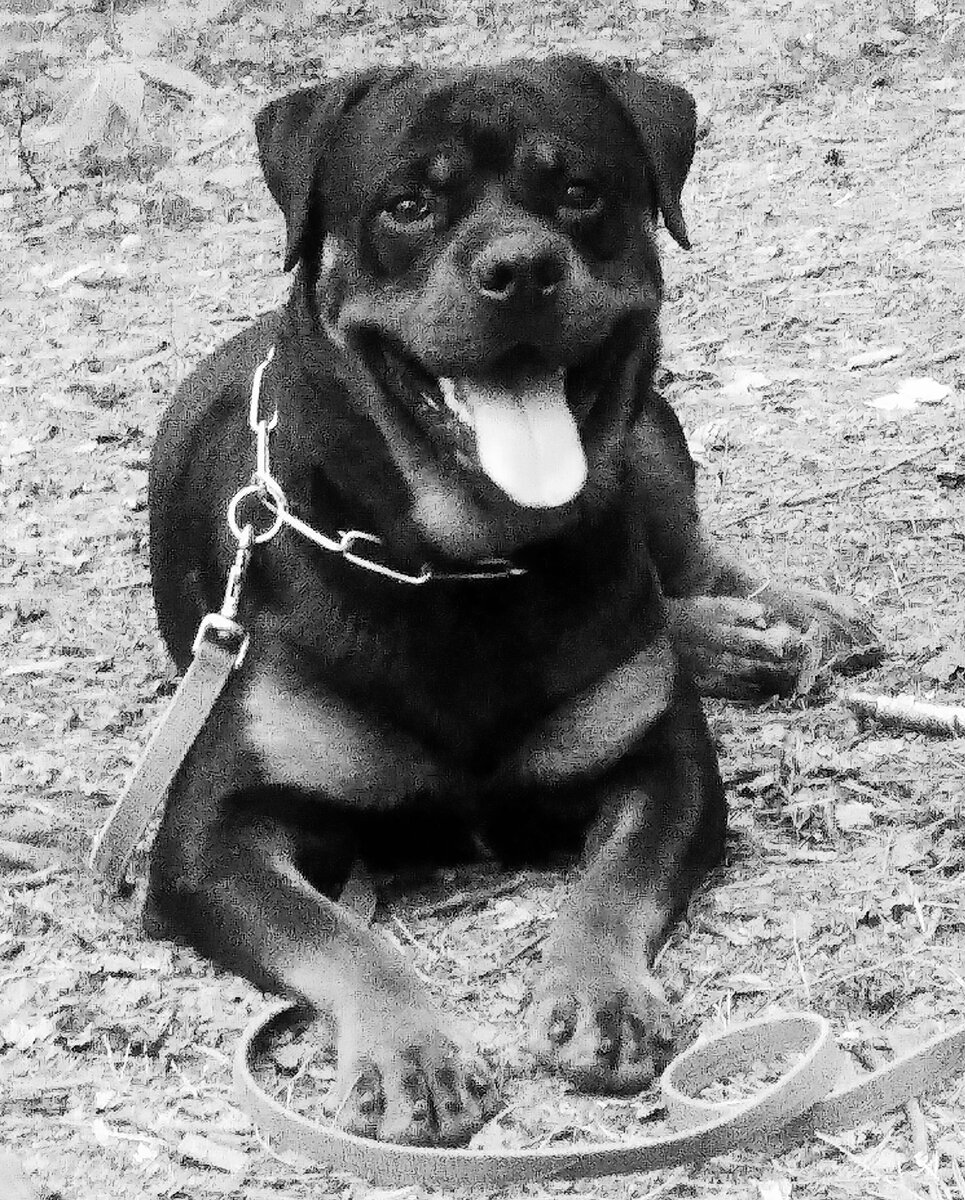 Негатив - это смотря что вы разглядывание: фото или саму пленку....