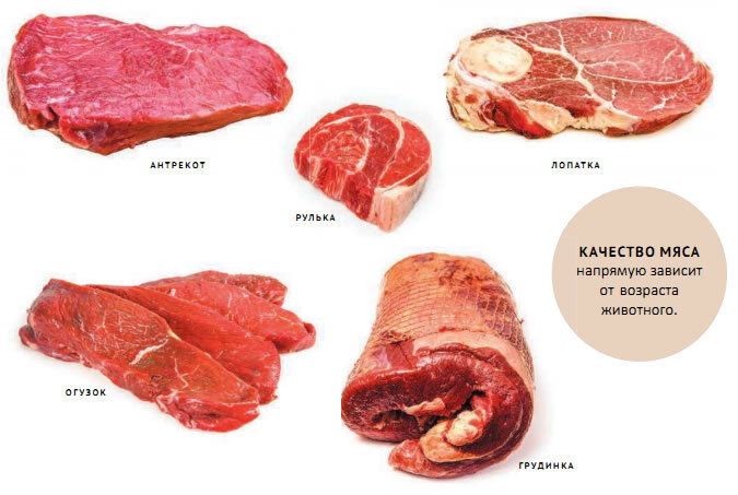 Стало известно, на сколько и почему подорожает говядина к Новому году. И будет ли дорожать дальше