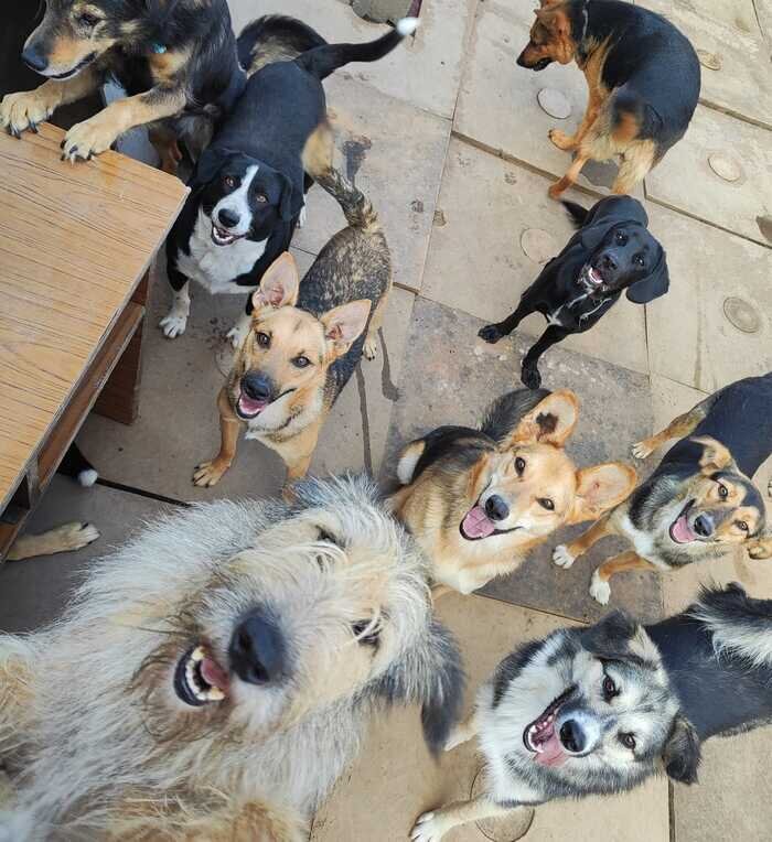 Листайте вправо, чтобы увидеть больше изображений