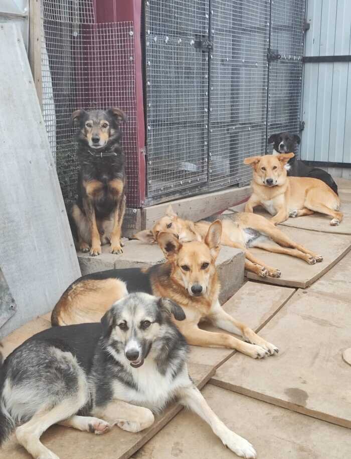 Листайте вправо, чтобы увидеть больше изображений