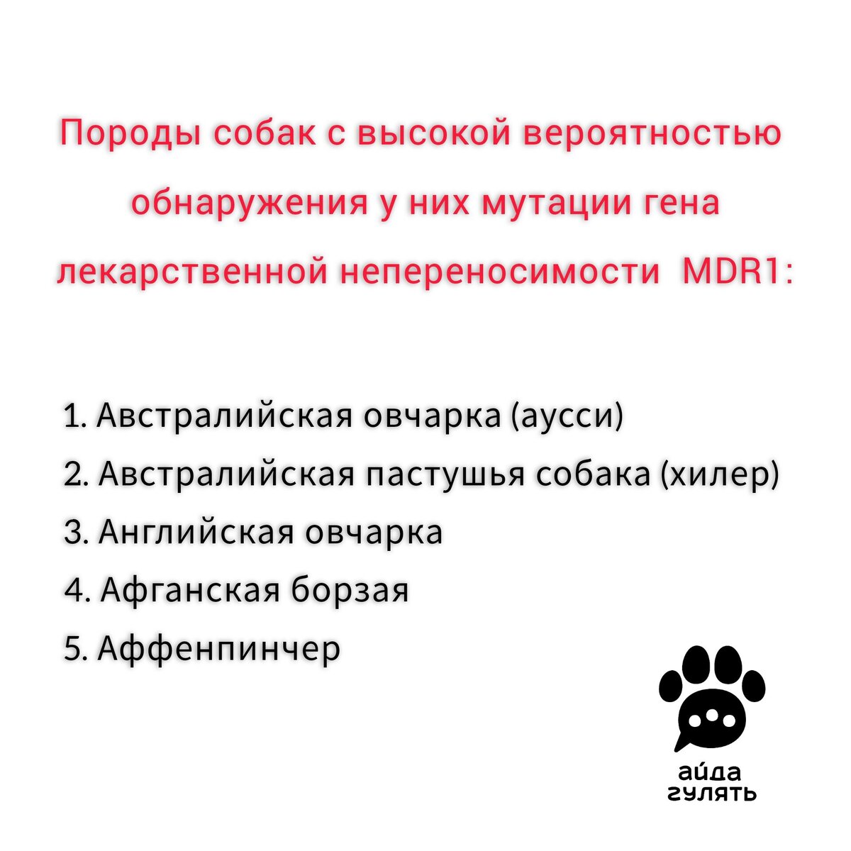 Список пород с высокой вероятностью обнаружения мутации гена лекарственной непереносимости MDR1