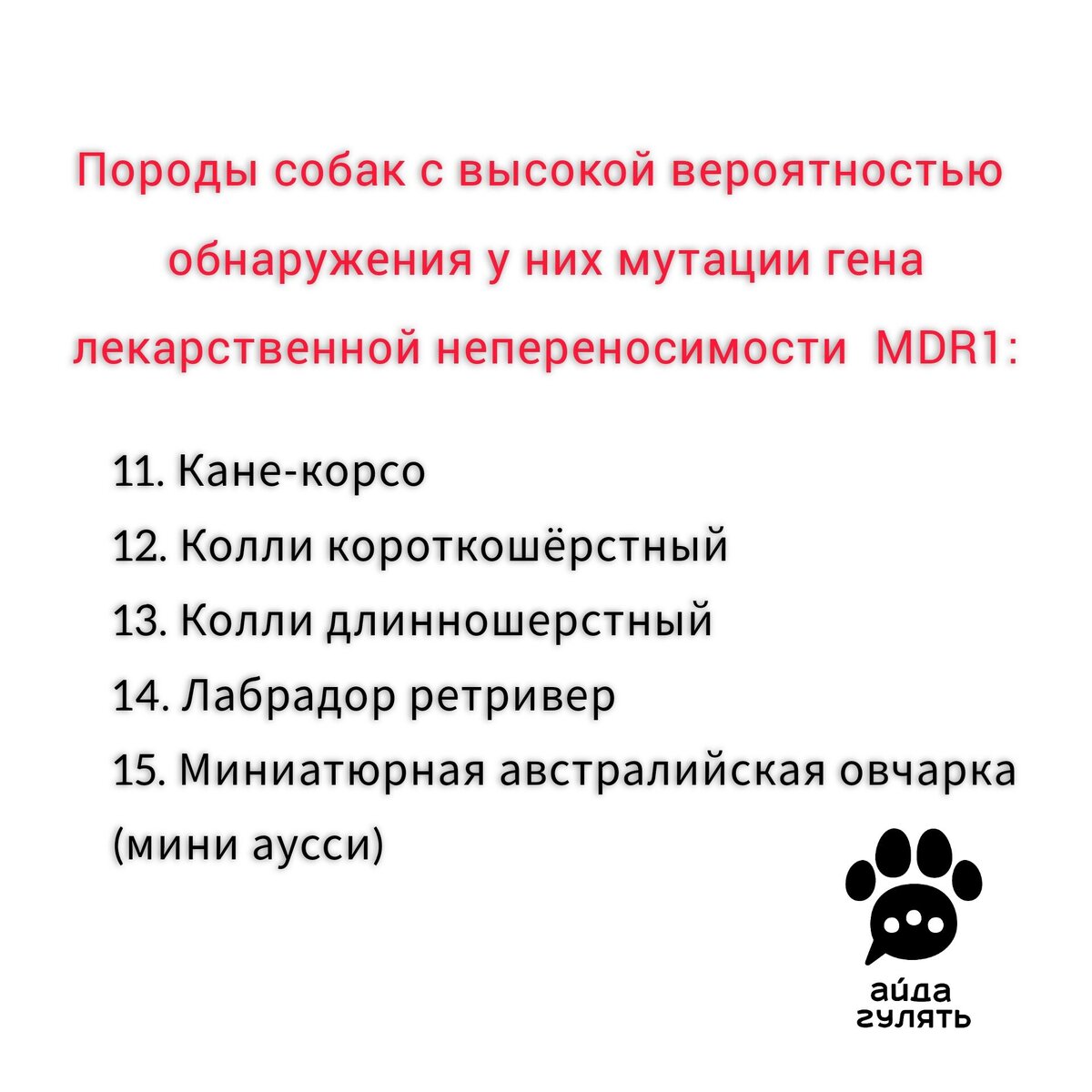 Список пород с высокой вероятностью обнаружения мутации гена лекарственной непереносимости MDR1
