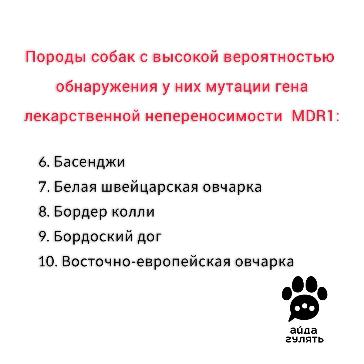 Список пород с высокой вероятностью обнаружения мутации гена лекарственной непереносимости MDR1