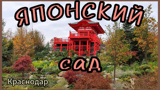 ЯПОНСКИЙ САД🍂🌿🍁 в осенних красках. КРАСНОДАР.