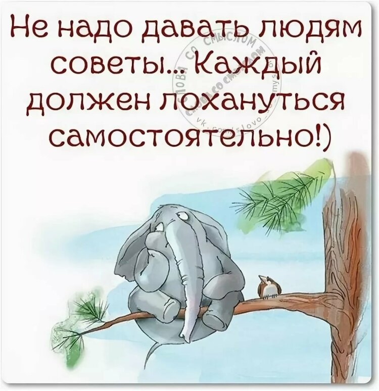 Изображение взято из открытых источников