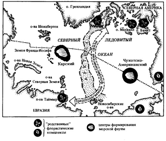 Рис. 1. Схематическое изображение вероятных флористических связей в период существования Арктиды и современное положение фаунистических комплексов [3].