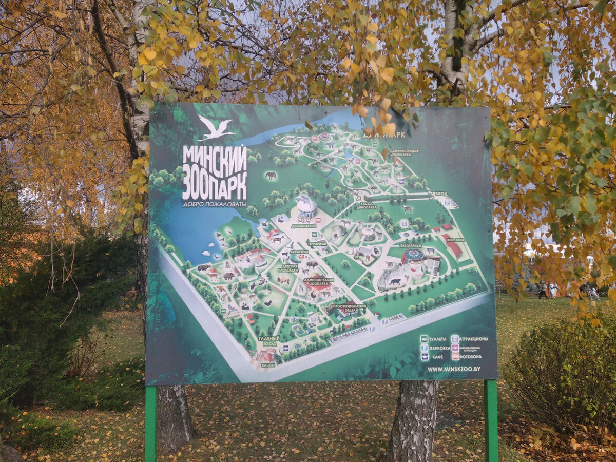 Карта территории минского зоопарка