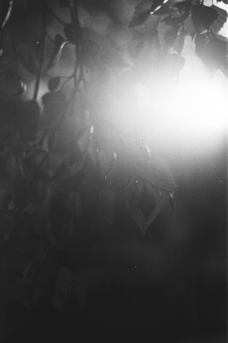 Photo: Анна Ди́ке