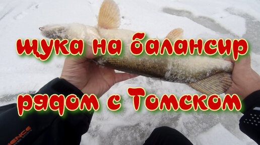 Щука на балансир рядом с Томском