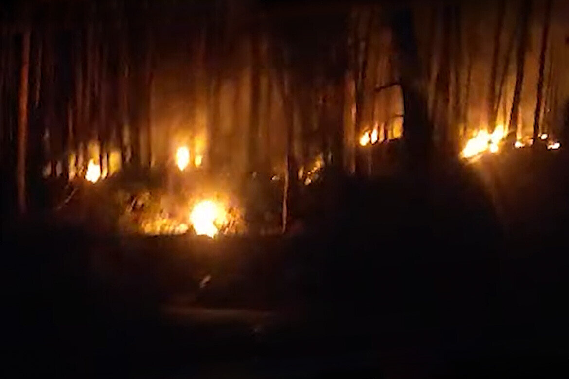 ​«Вот она вам реальная передовая, товарищи». Фото: стоп-кадр видео