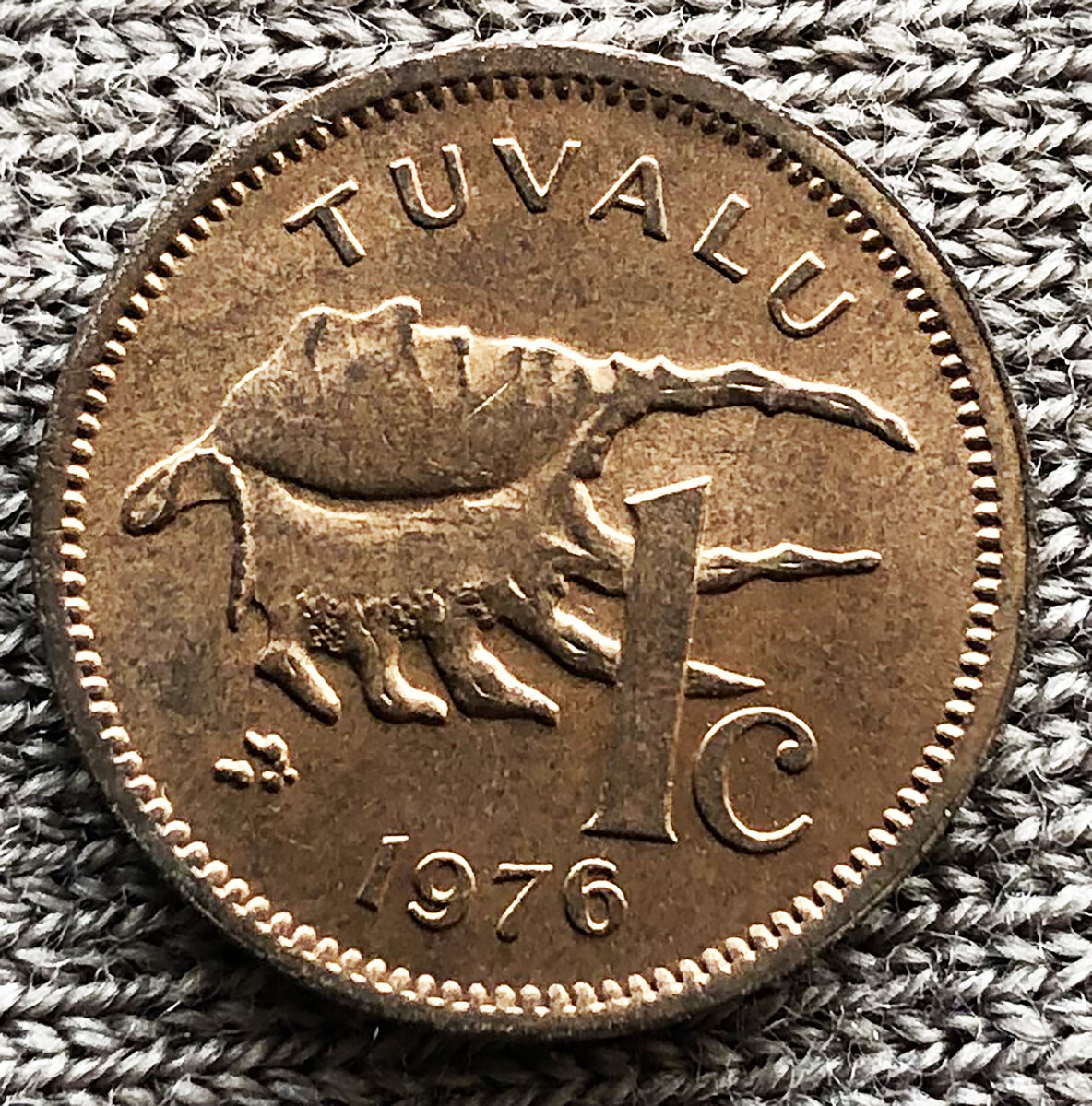 Тувалу 1 цент 1976 ракушка. Фото автора. 