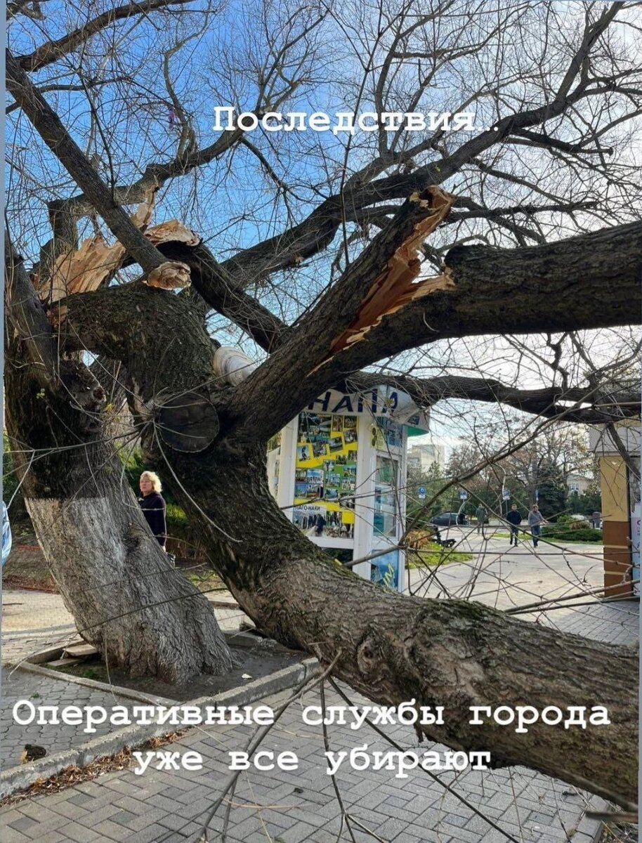 😱💪В Анапе шторм валит деревья. Последствия оперативно устраняют городские службы.😱
Круглосуточно дежурят мобильные бригады – более 300 человек и спецтехника: автоподъёмники, грузовики, измельчители веток и другое необходимое оборудование.
Напоминаем, что сегодня ветер может достигать 35 м/с. Сейчас порывы до 25 м/с
