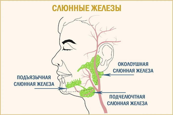 Почему огород может быть не выгоден: 5 причин почему не стоит выращивать овощи и фрукты