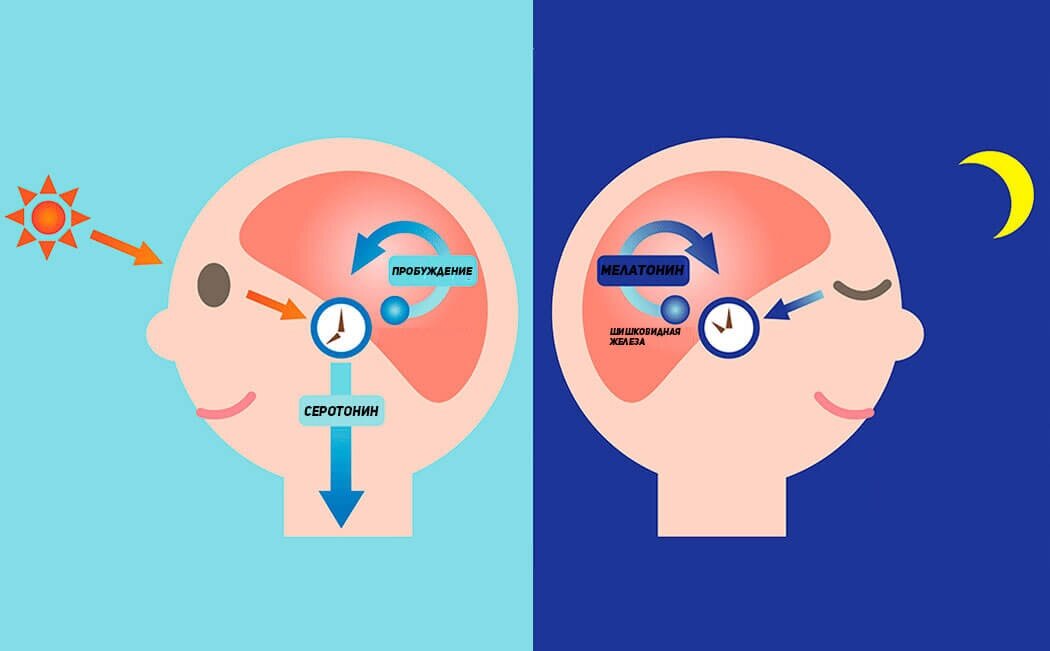Мелатонин. Мелатонин гормон. Гормон сна серотонин. Мелатонин для сна.