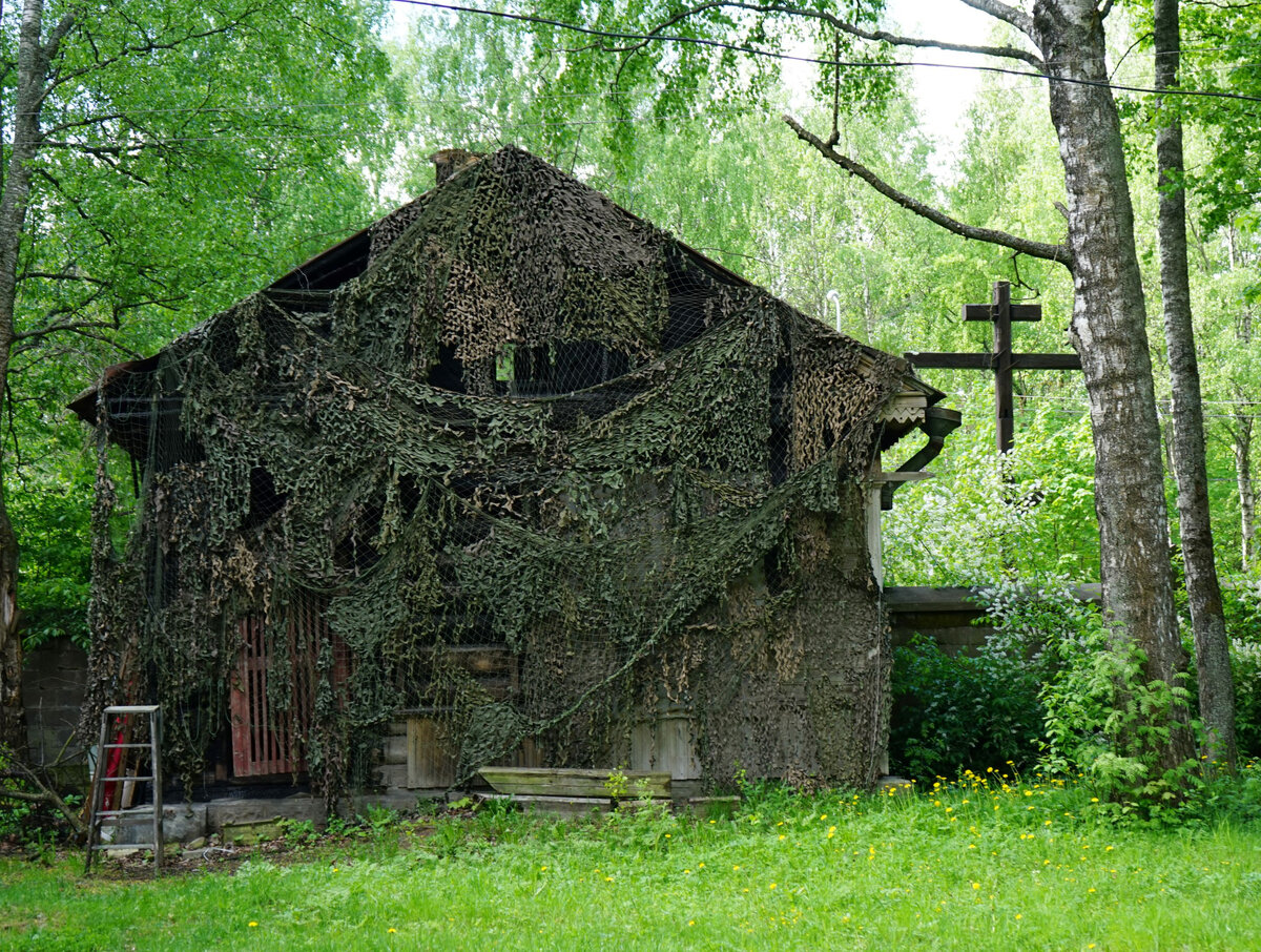 Фото автора