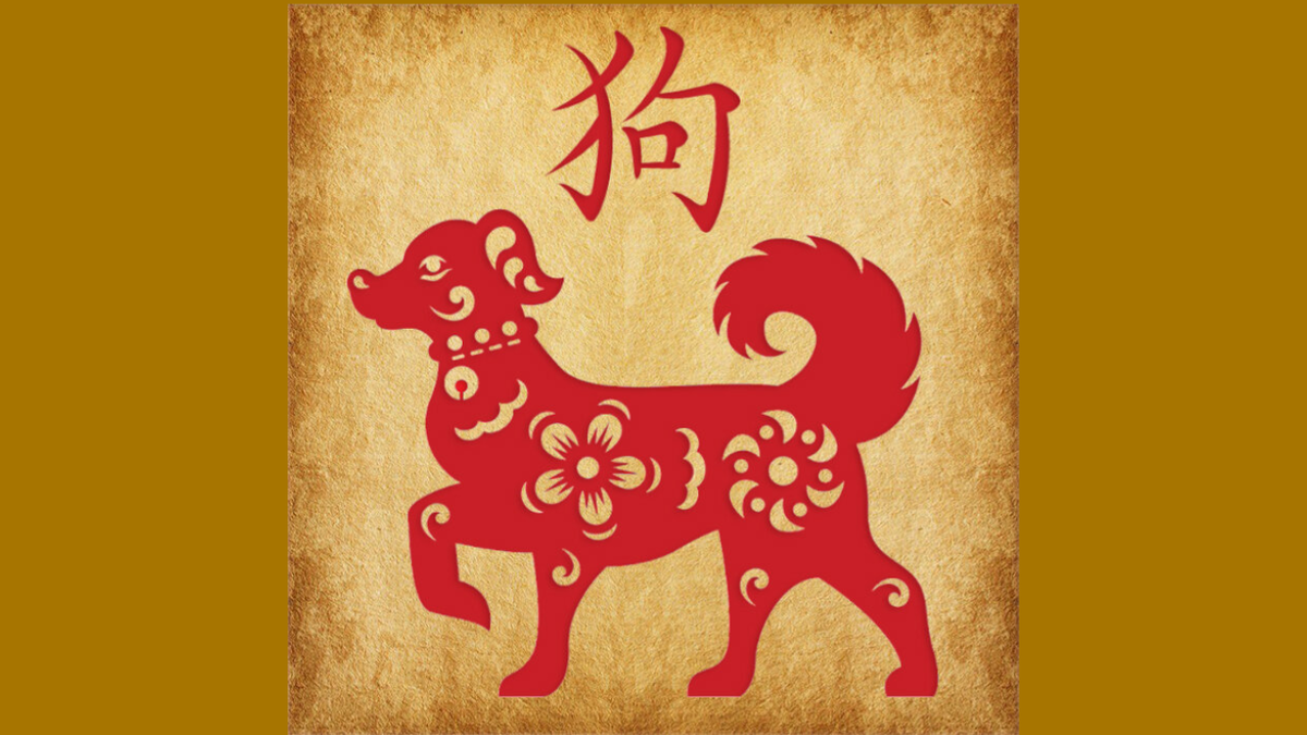 Год китайской собаки