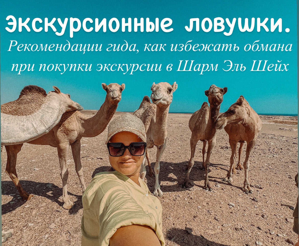 Здравствуйте, меня зовут Лена и Я ваш гид в Шарм Эль Шейх 