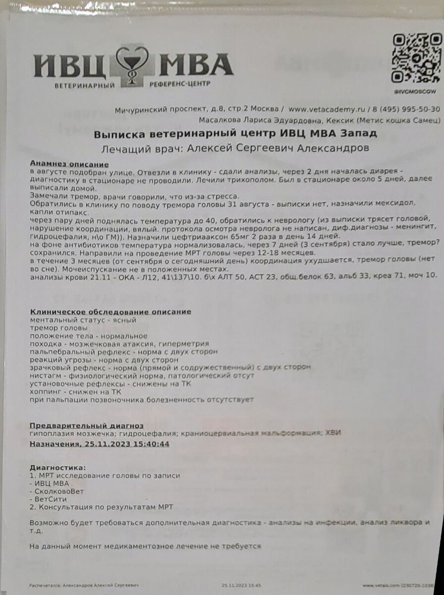 Выписка Кексика