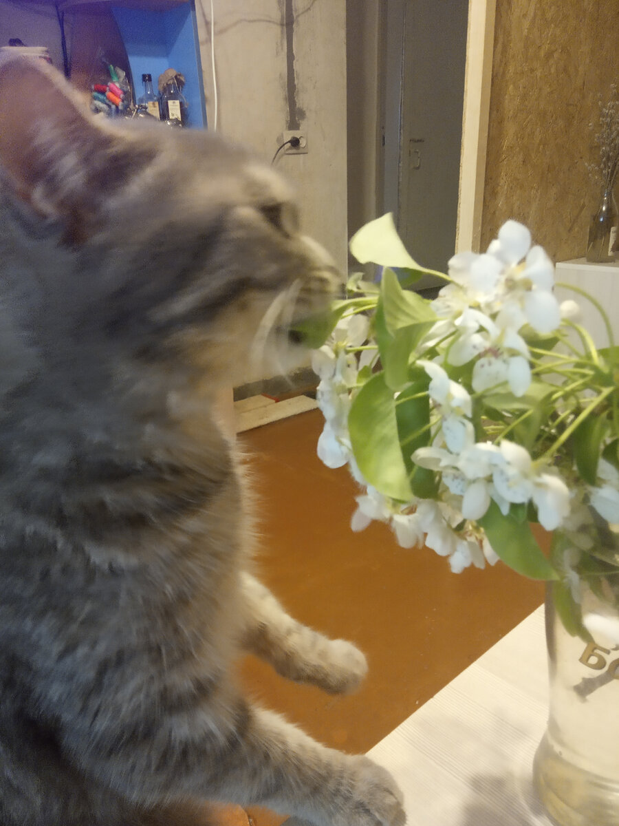 Фото из личного архива.