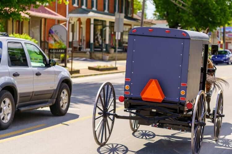 Повозка амишей