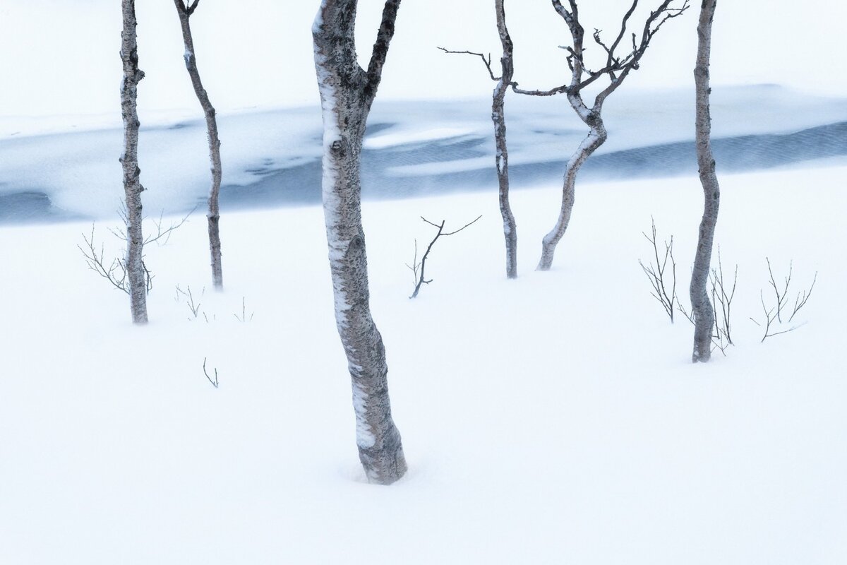 © Gabriel Stankiewicz (Германия) «Арктическое упорство».
Лучшая фотография природного пейзажа | Natural Landscape Photograph of the Year 2023