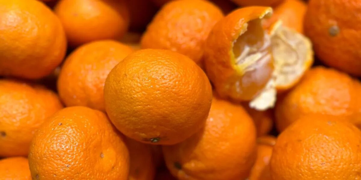 Источник фото: Фото редакции