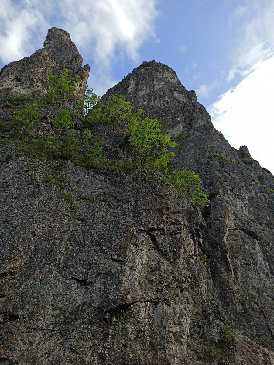 Скала Дерсу Узала