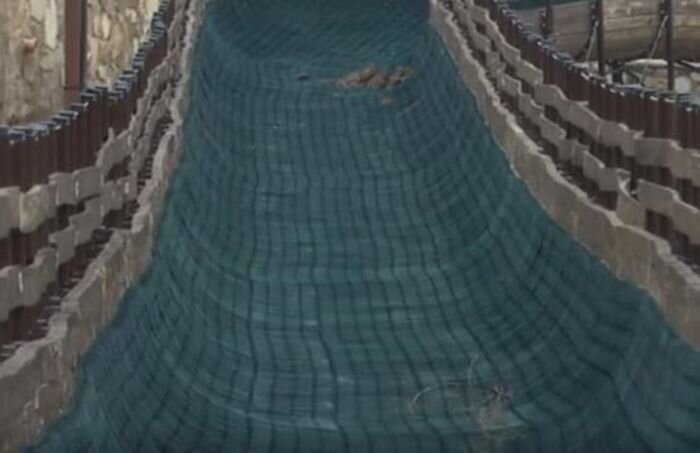 Источник фото: "Россия 24"